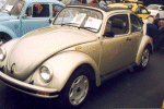 1998 Mexican Beetle